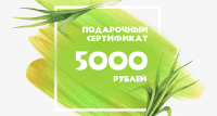 Подарочный сертификат  5000 рублей